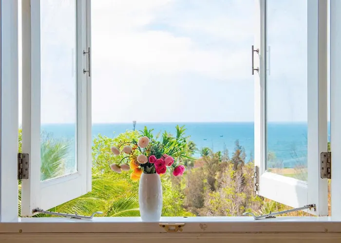Căn Hộ Ocean Vista Căn hộ *
